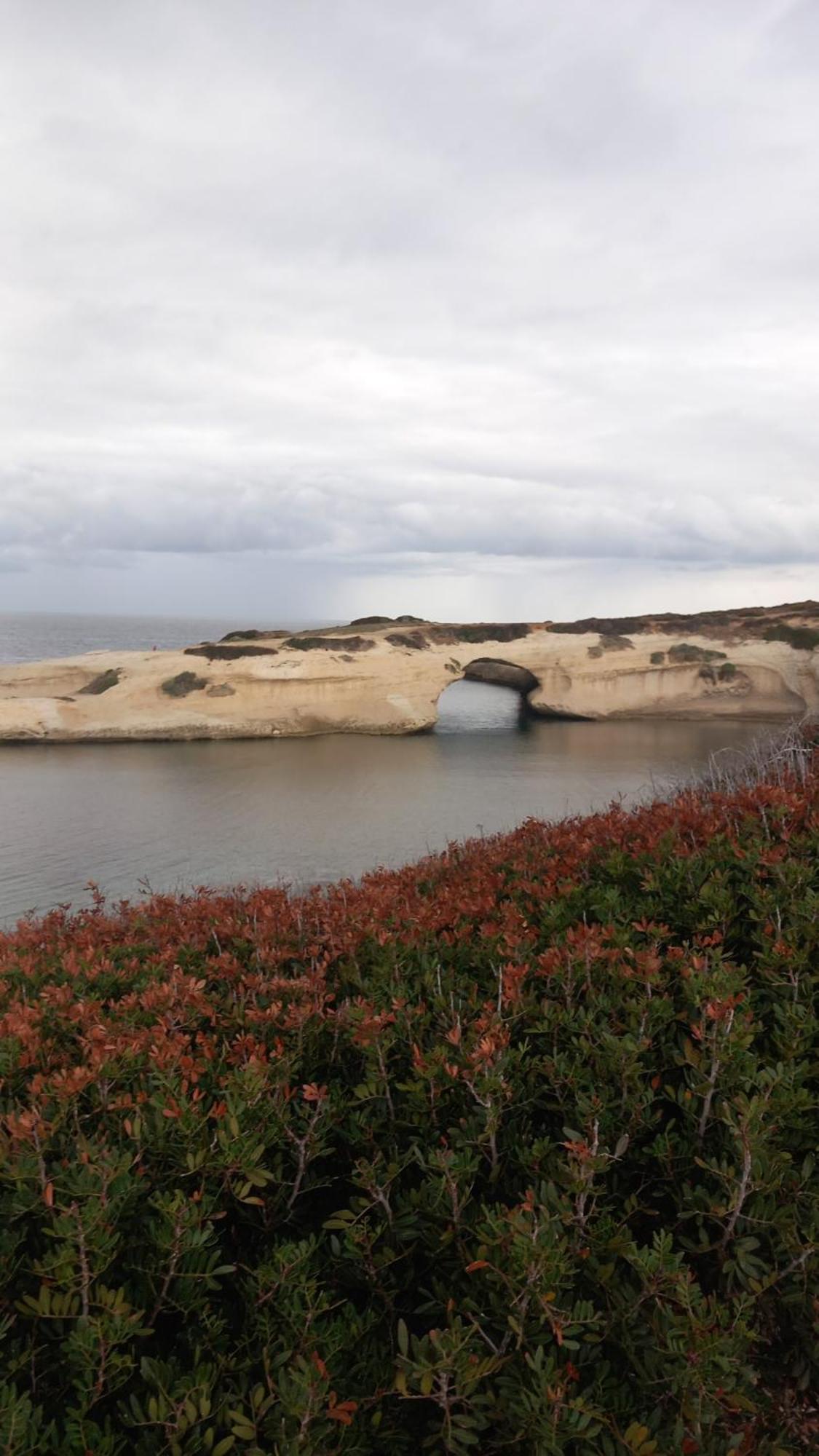 Agriturismo Il Melograno ريولا ساردو المظهر الخارجي الصورة