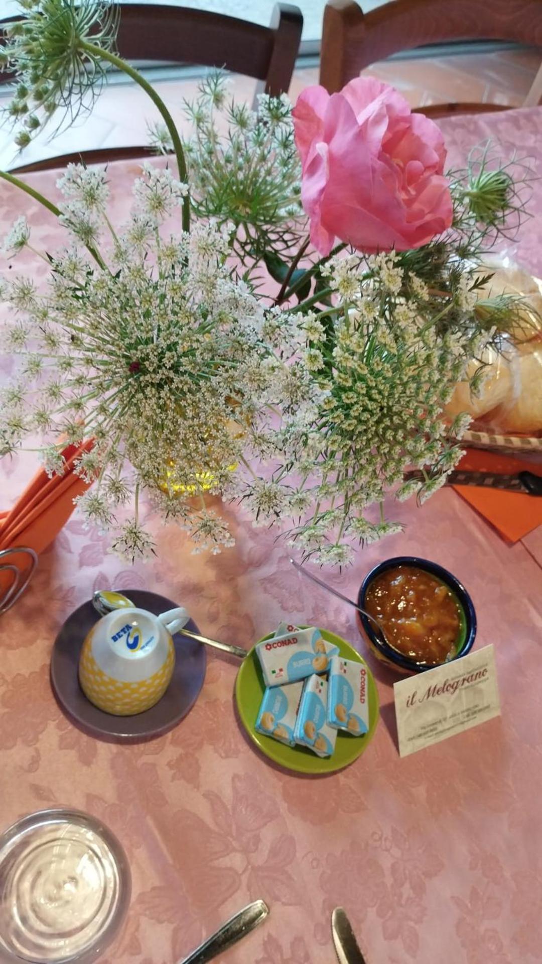 Agriturismo Il Melograno ريولا ساردو المظهر الخارجي الصورة