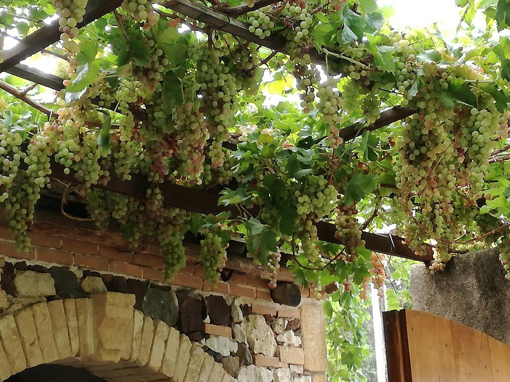 Agriturismo Il Melograno ريولا ساردو المظهر الخارجي الصورة