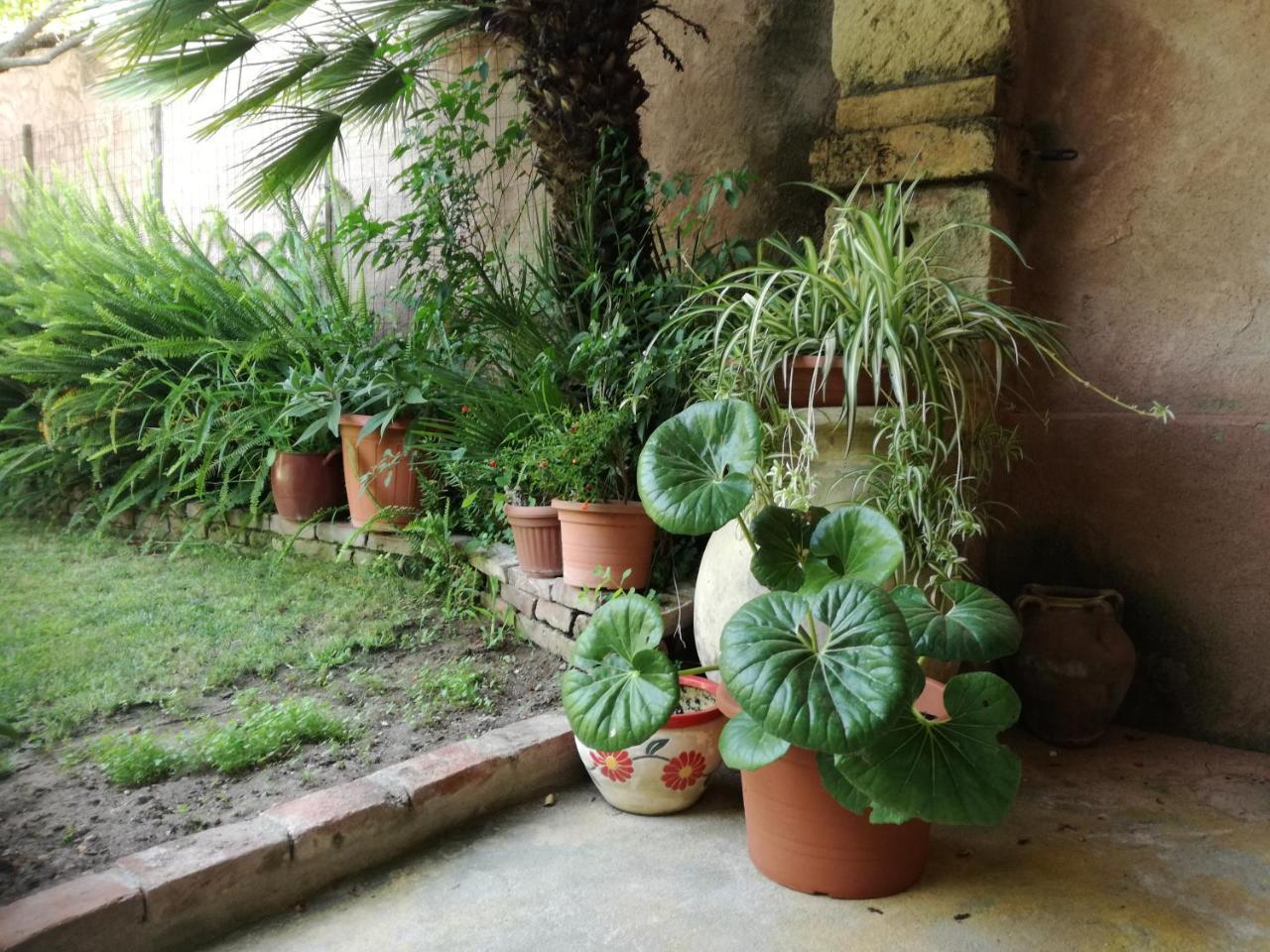 Agriturismo Il Melograno ريولا ساردو المظهر الخارجي الصورة